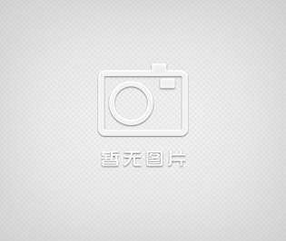 桂林Z3032  25#齒輪41Z